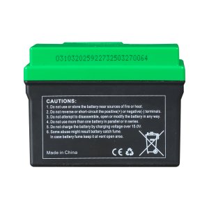 Аккумулятор FUBAG li-ion 3Ah для инверторного генератора TI 11000 A ES (арт. 646211) купить в Воронеже